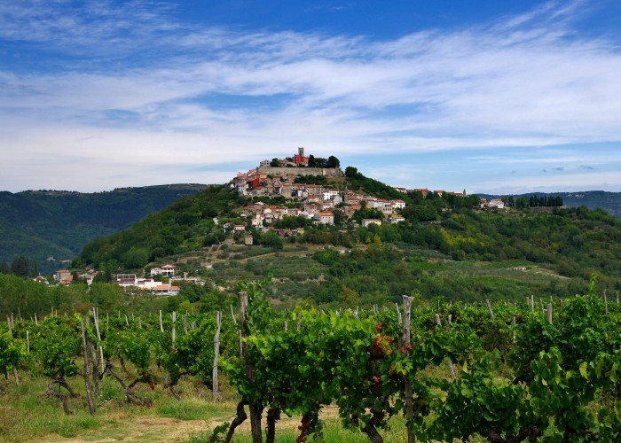 Wine Tours in Tuscany: What to Expect & How to Book